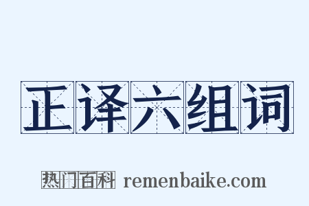 正译六组词是什么意思的图片
